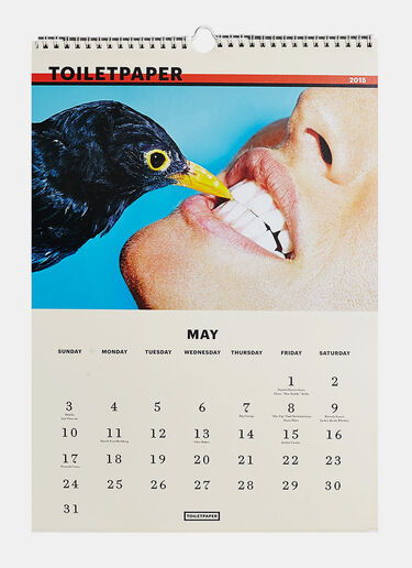 Books Toilet Paper 2015 Wall Calendar Black don0590134
