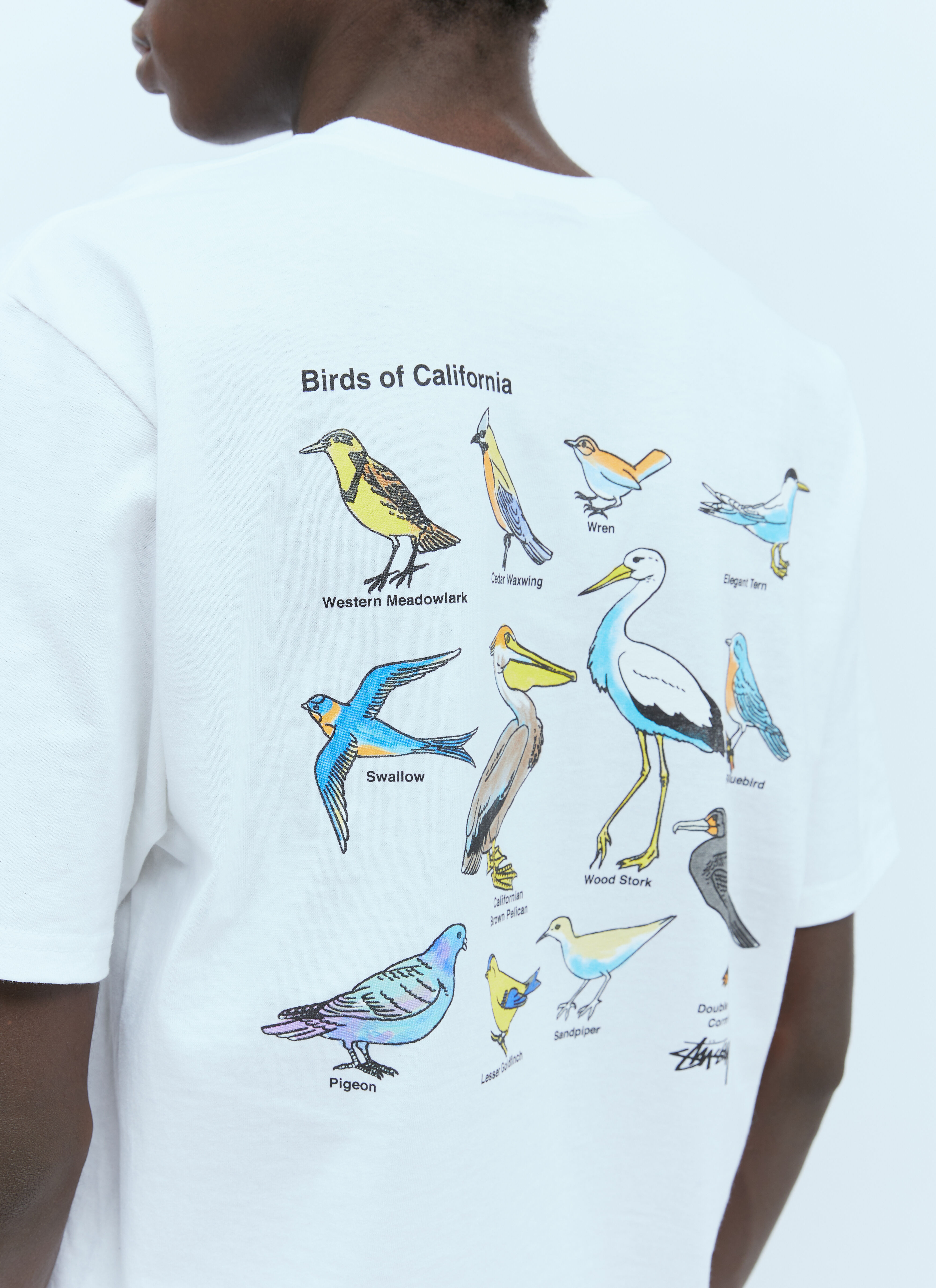 Stüssy California Birds T-Shirt in White | LN-CC®