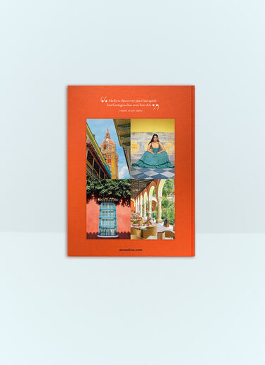 Assouline Cartagena Grace Orange wps0691714