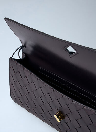 Bottega Veneta Andiamo 长款手拿包 棕 bov0257043