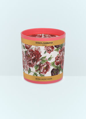 Dolce & Gabbana Casa Musk Rose Scented Candle Black wps0691219