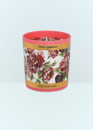 Dolce & Gabbana Casa Musk Rose Scented Candle Blue wps0691218