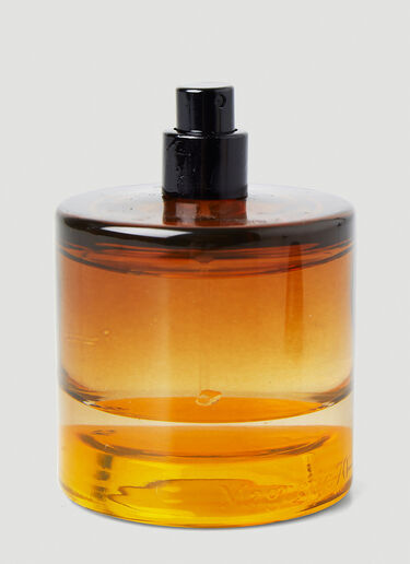 Vyrao Magnetic 70 Eau du Parfum Brown vyr0248002