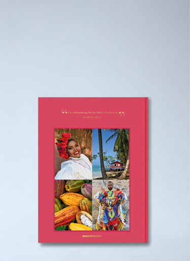 Assouline Santo Domingo Hardcover Book Pink wps0691970