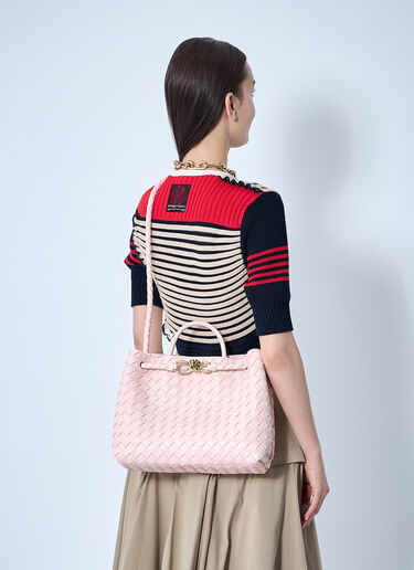 Bottega Veneta Medium Andiamo Handbag Pink bov0259034