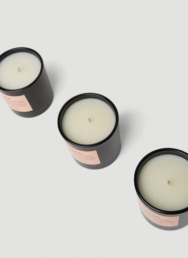 Boy Smells Les, Petal and Lanai Votive Candle Set Black bys0351010