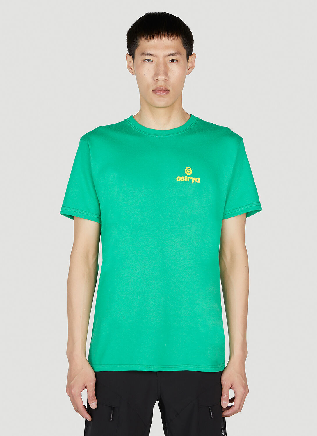 Ostrya Core Logo Equi T-shirt In Green