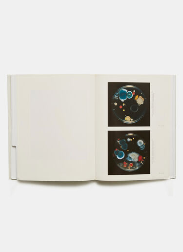 Books La Maison Martin Margiela 09/04/1615 Black dbr0590008