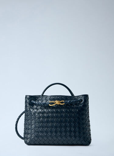 Bottega Veneta 小型Andiamo手袋 蓝色 bov0264011