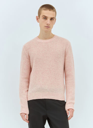 Prada Shetland Wool Crewneck Sweater Pink pra0159033