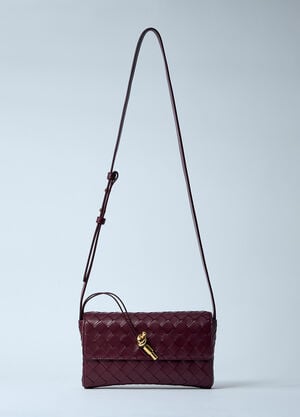 Bottega Veneta Crossbody Andiamo Bag Burgundy bov0259027