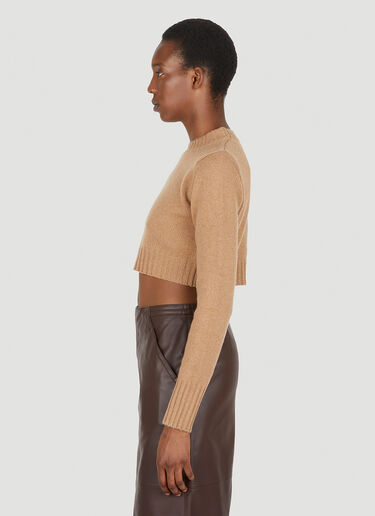 Max Mara Eureka Cropped Sweater Brown max0249009