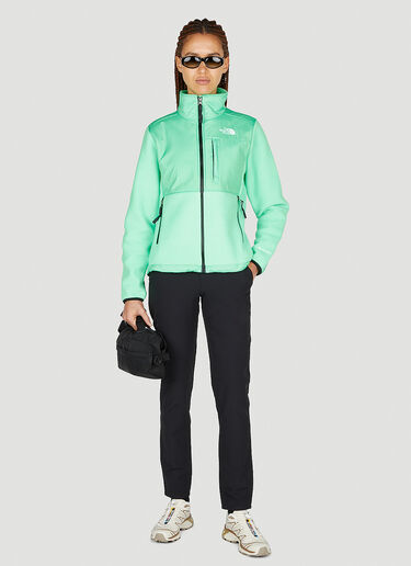 The North Face Icons Denali Jacket Green tnf0250045