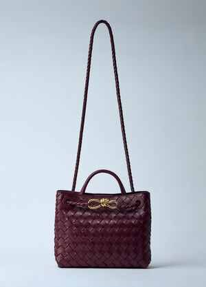 Bottega Veneta 스몰 안디아모 핸드백 버건디 bov0259030