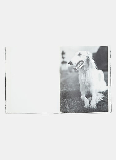 Books Bruce Weber Treville 1991 Black dbr0505090