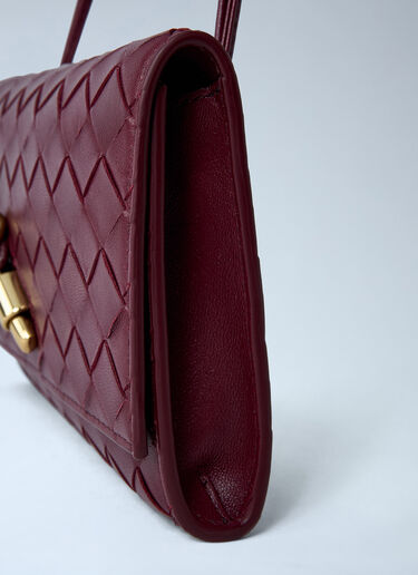 Bottega Veneta Andiamo Crossbody Bag Burgundy bov0262031