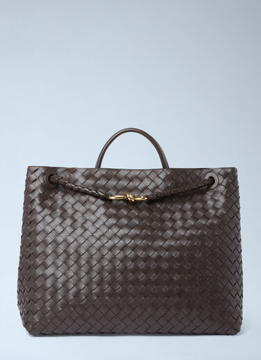 Bottega Veneta Large Andiamo Handbag Brown bov0254058