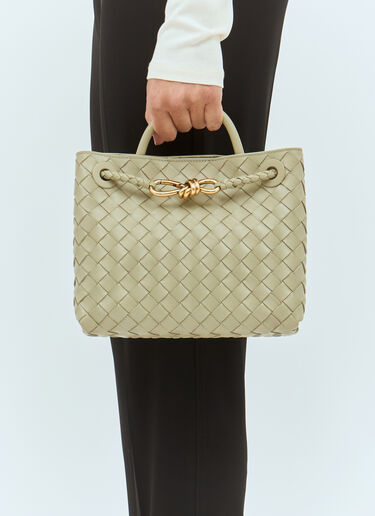Bottega Veneta 小号 Andiamo 手提包 绿色 bov0257050