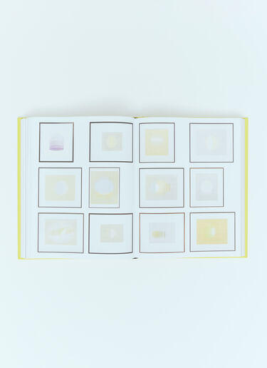 Phaidon Olafur Eliasson: Experience Yellow phd0553012