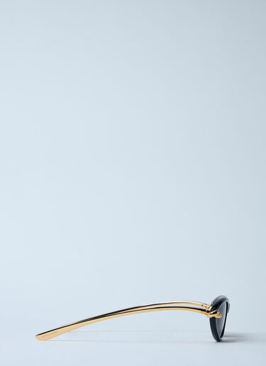 经典猫眼形太阳镜 Bottega Veneta 经典猫眼形太阳镜 黑色 bos0259004