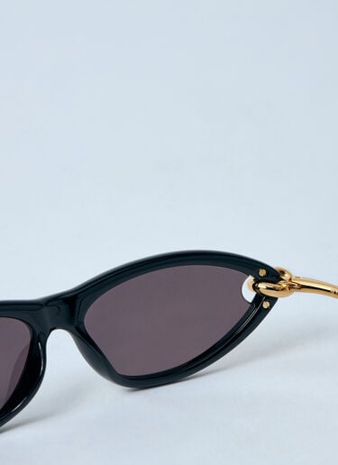 经典猫眼形太阳镜 Bottega Veneta 经典猫眼形太阳镜 黑色 bos0259004