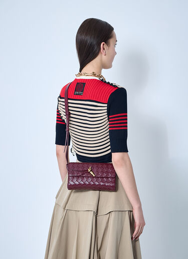 Andiamo 斜挎包 Bottega Veneta Andiamo 斜挎包 酒红色 bov0259027
