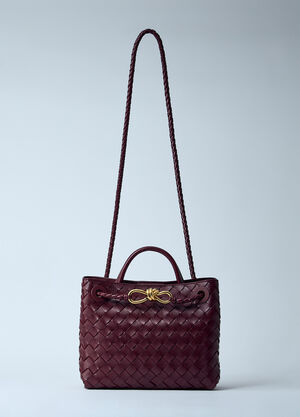 Bottega Veneta 스몰 안디아모 핸드백 버건디 bov0259030