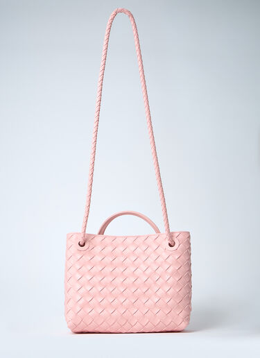 Bottega Veneta Small Andiamo Handbag Pink bov0260012