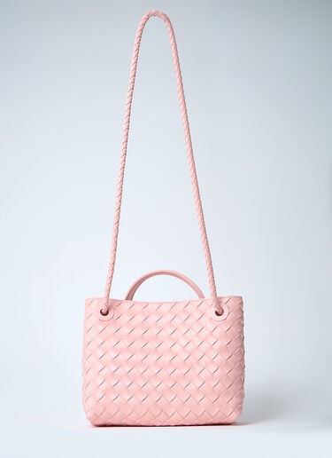 Small Andiamo Handbag Bottega Veneta Small Andiamo Handbag Pink bov0260012