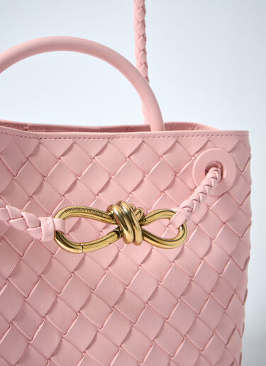 Bottega Veneta Small Andiamo Handbag Pink bov0260012