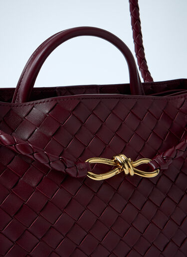 Bottega Veneta Medium Andiamo Handbag Burgundy bov0260013