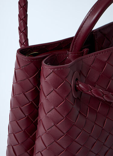 Bottega Veneta Medium Andiamo Handbag Burgundy bov0260013