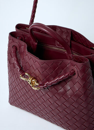 Medium Andiamo Handbag Bottega Veneta Medium Andiamo Handbag Burgundy bov0260013