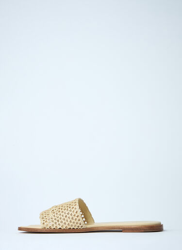 Chloé Logo Motif Slides Brown chl0261034
