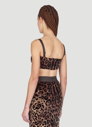 Dolce & Gabbana ヒョウ柄プリントクロップドトップ ブラウン dol0254004