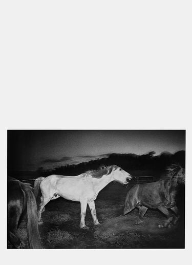Books Minutes to Midnight Black don0590135