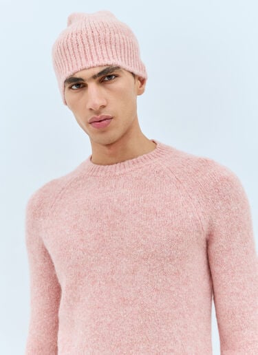 ウールブレンドビーニーハット Dries Van Noten ウールブレンドビーニーハット ピンク dvn0158035