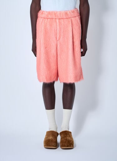 Dries Van Noten Brushed Wool Shorts Orange dvn0160004