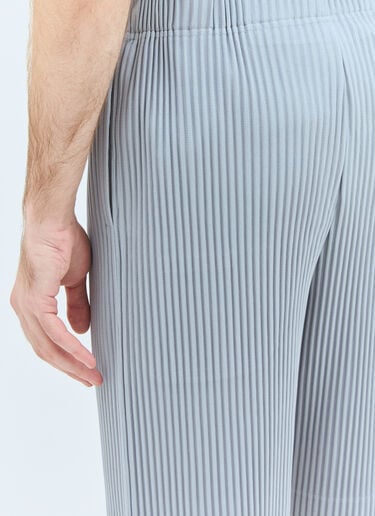 Homme Plissé Issey Miyake Pleated Shorts Grey hmp0158011