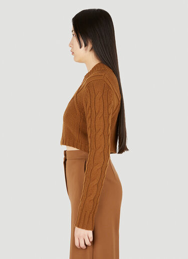 파스토 크롭 스웨터 Max Mara 파스토 크롭 스웨터 브라운 max0250022