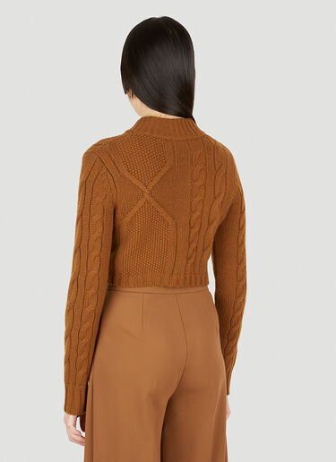 Max Mara 파스토 크롭 스웨터 브라운 max0250022