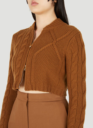 Max Mara 파스토 크롭 스웨터 브라운 max0250022