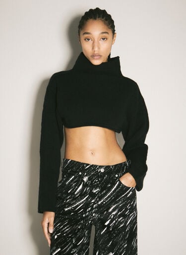 Turtleneck Cropped Sweater Marni Turtleneck Cropped Sweater Black mni0258002