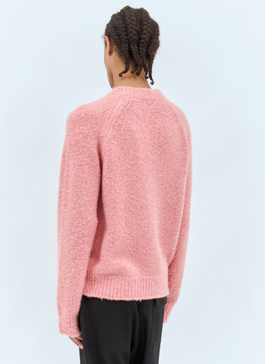 Bruno Sweater The Row Bruno Sweater Pink row0158013