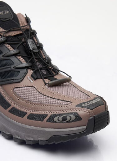 Salomon Acs Pro GTX 运动鞋 棕色 sal0359002