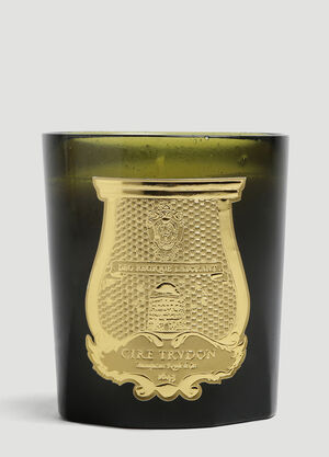 Cire Trudon Solis Rex Candle Green wps0644245
