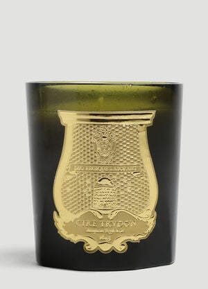 Trudon Ernesto Large Candle Green wps0644251