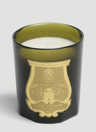Trudon Ernesto Large Candle Green wps0644251