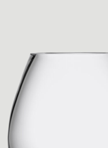 Flower Vase LSA International Flower Vase Transparent wps0644330