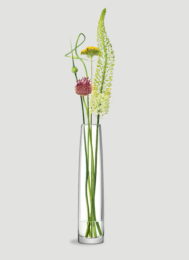 Stems Medium Vase LSA International Stems Medium Vase Transparent wps0644365